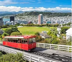 New Zealand City 